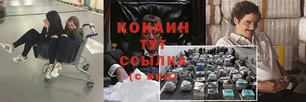 2c-b Бородино