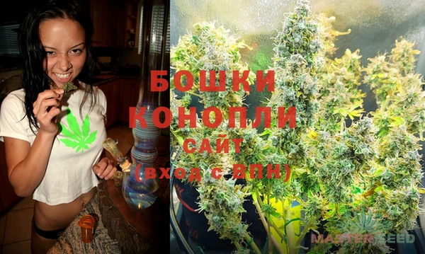 молекула духа Бугульма