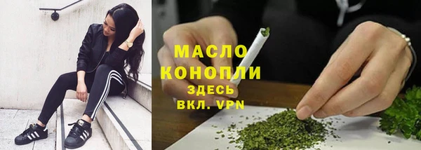 2c-b Бородино