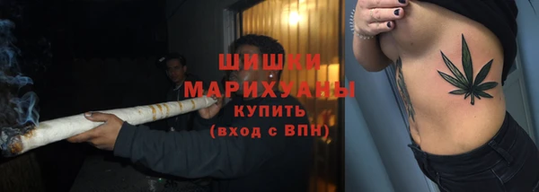 2c-b Бородино