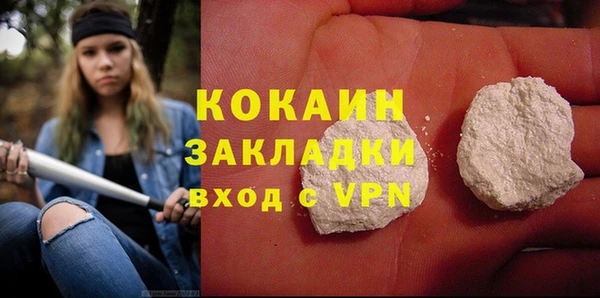 2c-b Бородино