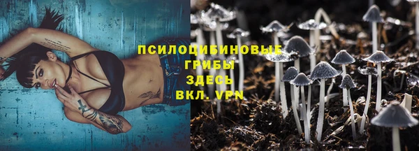 2c-b Бородино