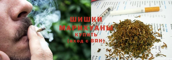 молекула духа Бугульма